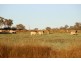 TARWONGA River Road, Coonabarabran NSW 2357