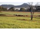 TARWONGA River Road, Coonabarabran NSW 2357