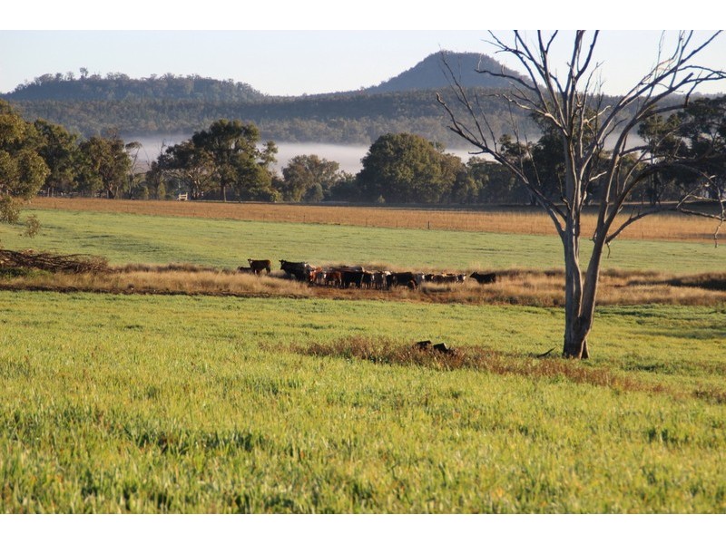 TARWONGA River Road, Coonabarabran NSW 2357