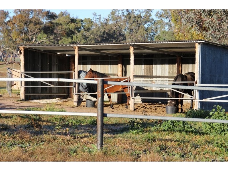 TARWONGA River Road, Coonabarabran NSW 2357