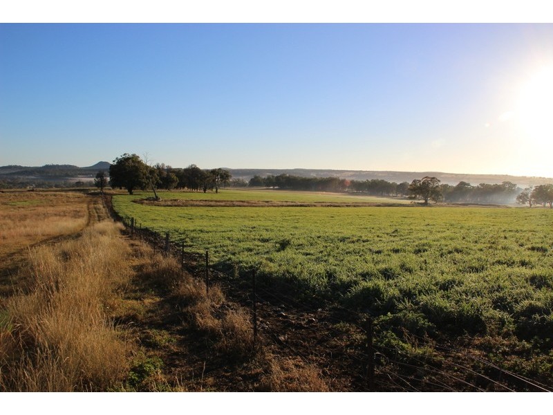TARWONGA River Road, Coonabarabran NSW 2357