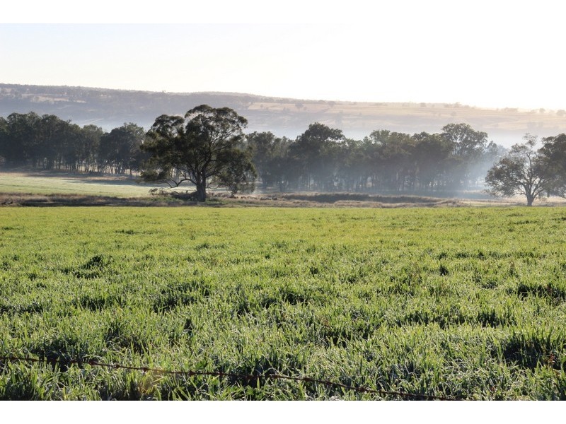 TARWONGA River Road, Coonabarabran NSW 2357