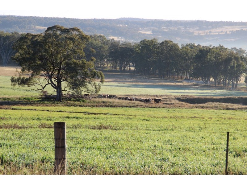 TARWONGA River Road, Coonabarabran NSW 2357