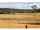 285 TOTHILLS ROAD, Coonabarabran NSW 2357