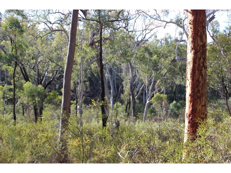 LOT 29 HOMELEIGH DRIVE, Coonabarabran NSW 2357