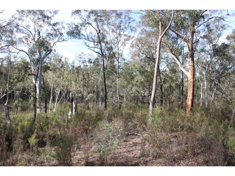 LOT 29 HOMELEIGH DRIVE, Coonabarabran NSW 2357