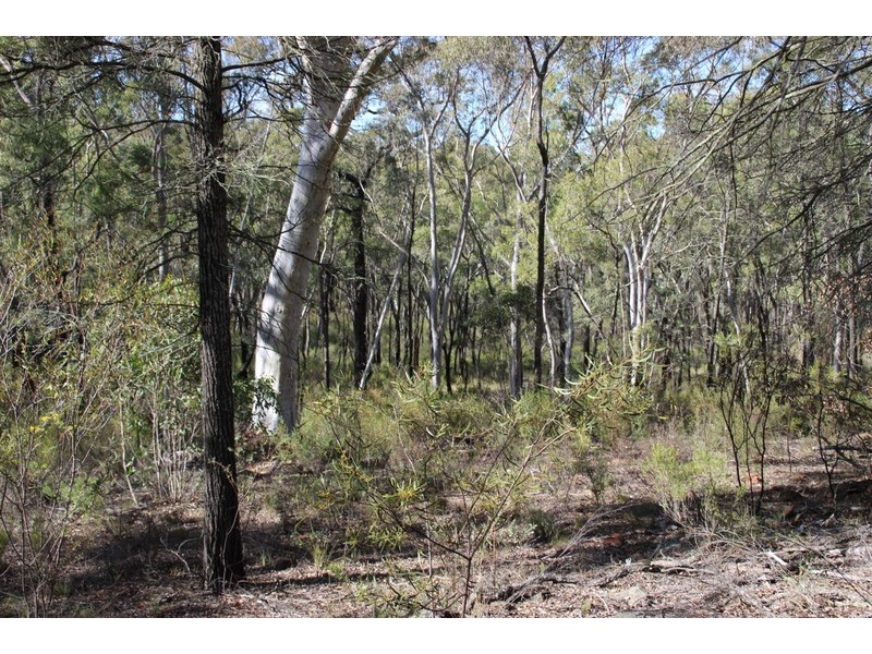 LOT 29 HOMELEIGH DRIVE, Coonabarabran NSW 2357