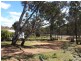 83 TIMOR ROAD, Coonabarabran NSW 2357