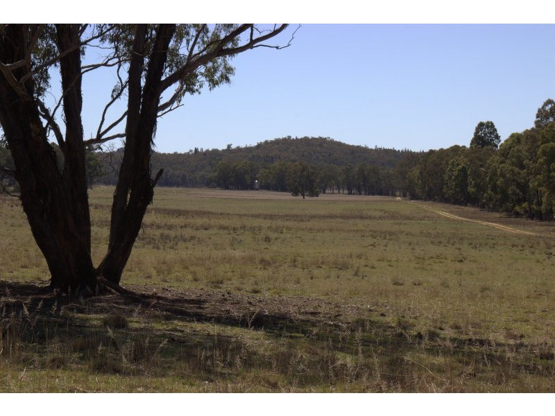 230 Tothills “BANGALAY NORTH”, Coonabarabran NSW 2357