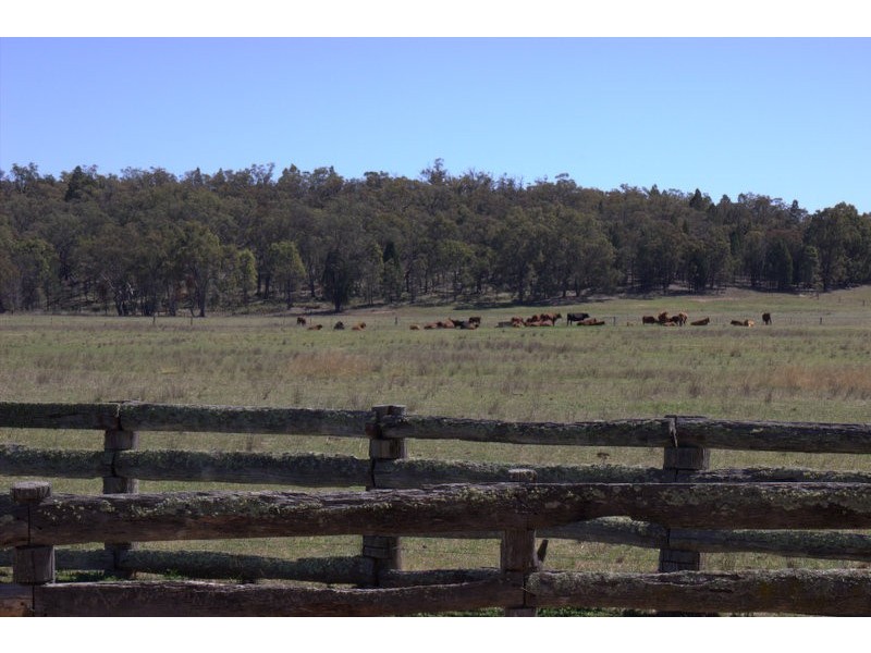 230 Tothills “BANGALAY NORTH”, Coonabarabran NSW 2357