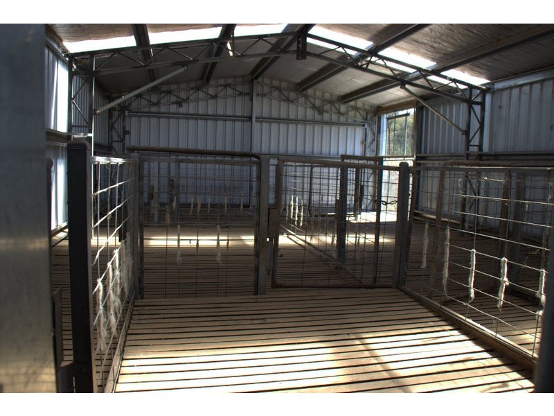 230 Tothills “BANGALAY NORTH”, Coonabarabran NSW 2357