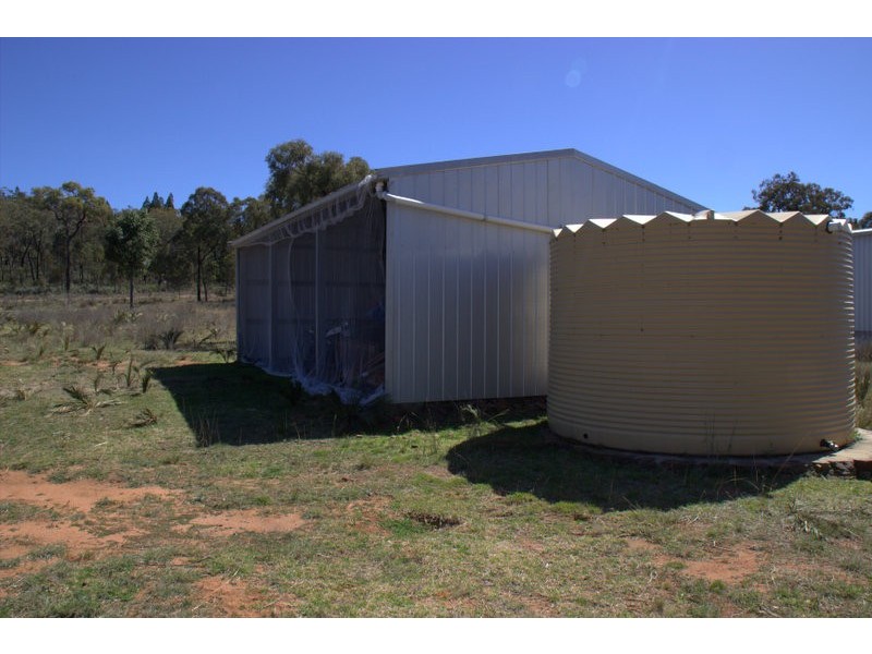 230 Tothills “BANGALAY NORTH”, Coonabarabran NSW 2357