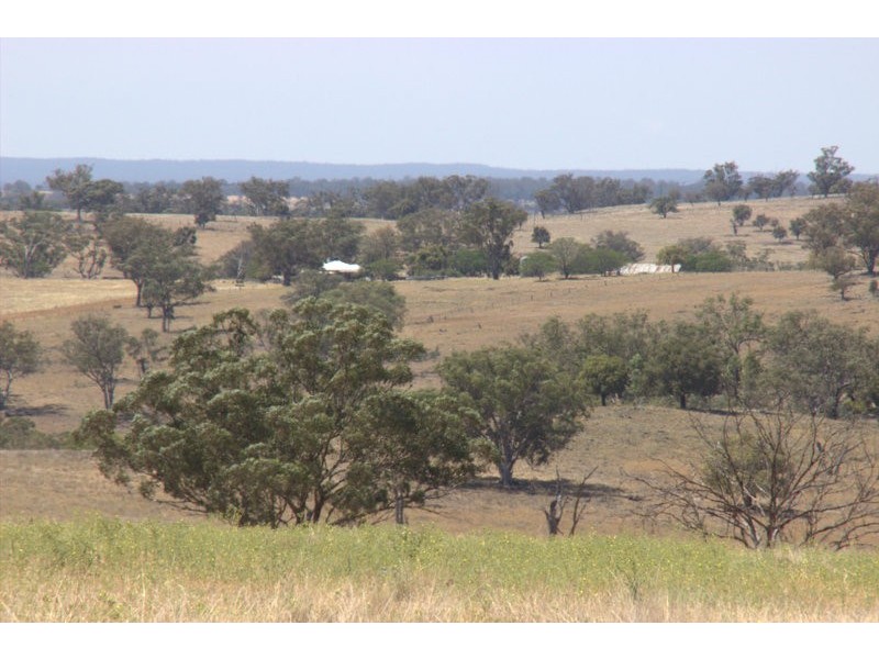 .”DOWNFIELD” OXLEY HIGHWAY, Coonabarabran NSW 2357