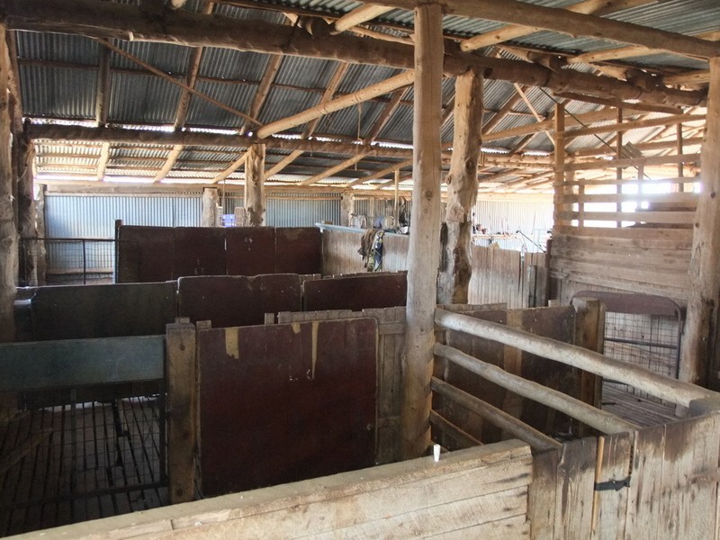 .”DOWNFIELD” OXLEY HIGHWAY, Coonabarabran NSW 2357