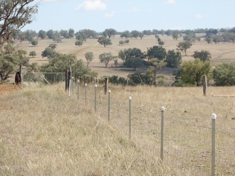 .”DOWNFIELD” OXLEY HIGHWAY, Coonabarabran NSW 2357