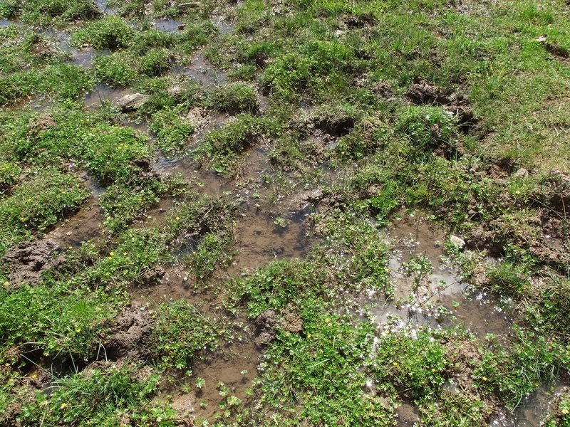 .”DOWNFIELD” OXLEY HIGHWAY, Coonabarabran NSW 2357