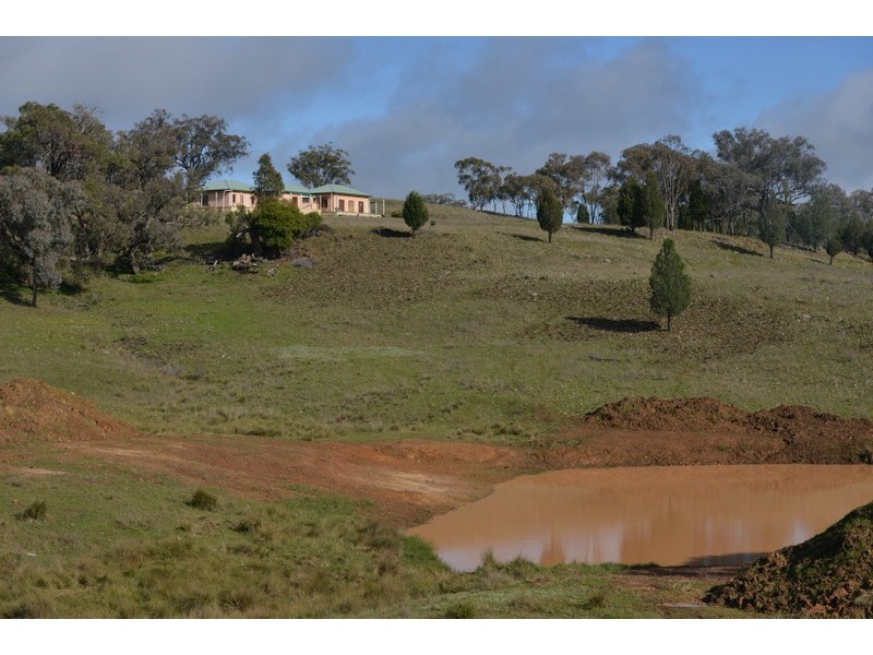 .TIMBYDALE NEWEL HIGHWAY, Coonabarabran NSW 2357