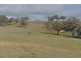 .TIMBYDALE NEWEL HIGHWAY, Coonabarabran NSW 2357