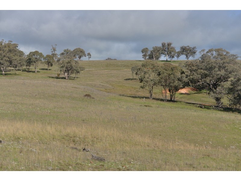 .TIMBYDALE NEWEL HIGHWAY, Coonabarabran NSW 2357