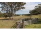 ” DERRIWONG”, Binnaway NSW 2395