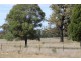 ” DERRIWONG”, Binnaway NSW 2395