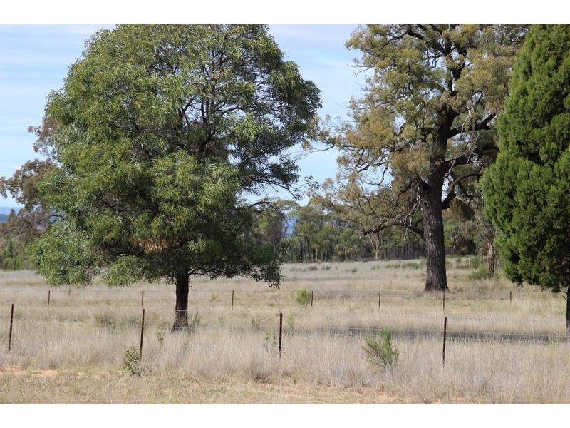 ” DERRIWONG”, Binnaway NSW 2395