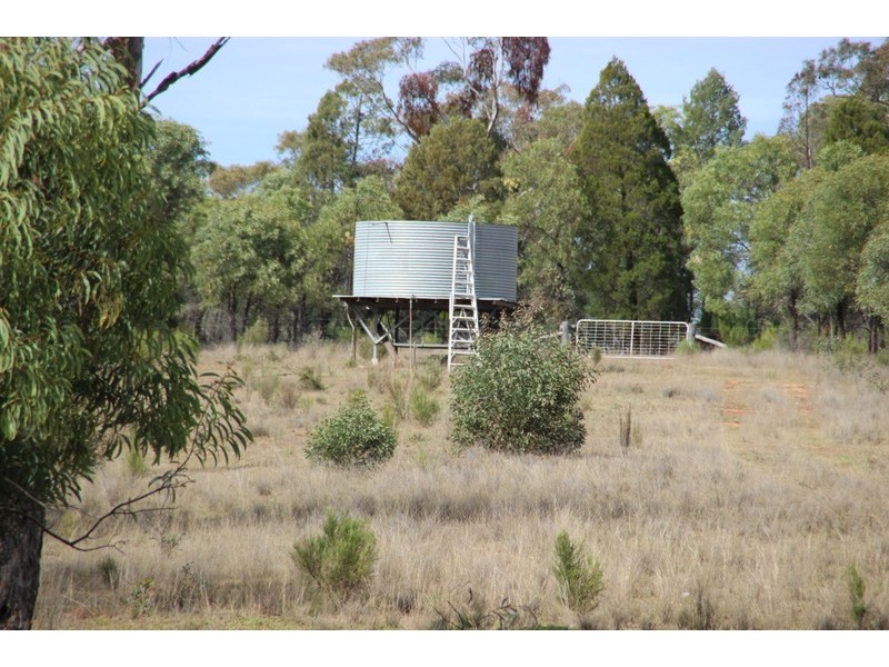 ” DERRIWONG”, Binnaway NSW 2395
