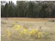 ” DERRIWONG”, Binnaway NSW 2395