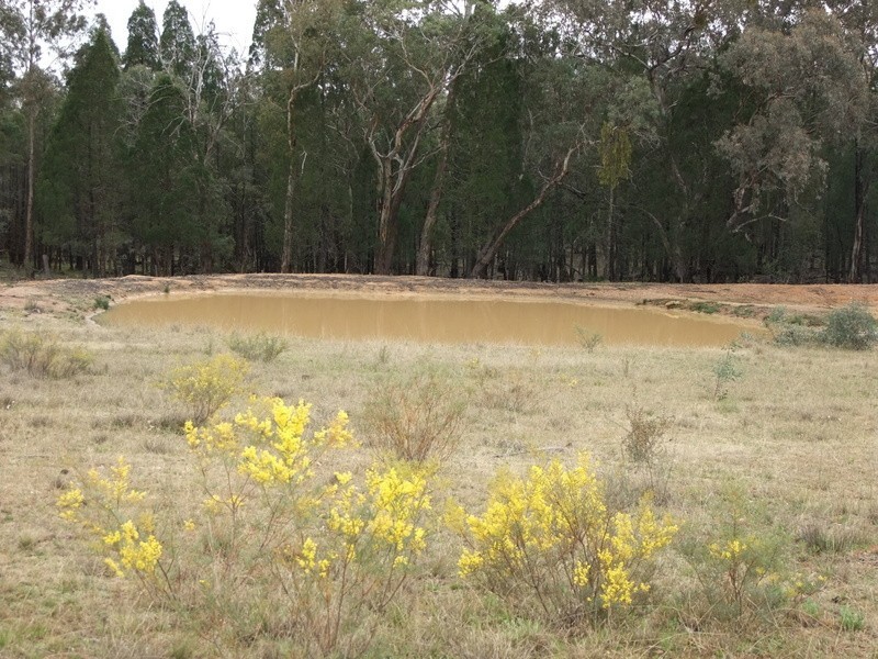 ” DERRIWONG”, Binnaway NSW 2395