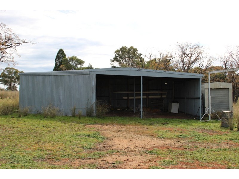 ” DERRIWONG”, Binnaway NSW 2395