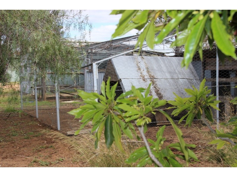 ” DERRIWONG”, Binnaway NSW 2395