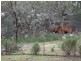 ” DERRIWONG”, Binnaway NSW 2395