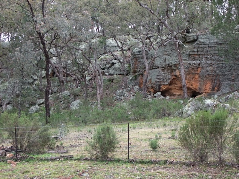 ” DERRIWONG”, Binnaway NSW 2395