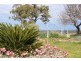 ” DERRIWONG”, Binnaway NSW 2395