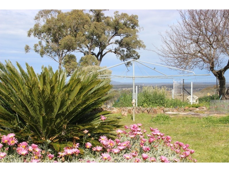” DERRIWONG”, Binnaway NSW 2395