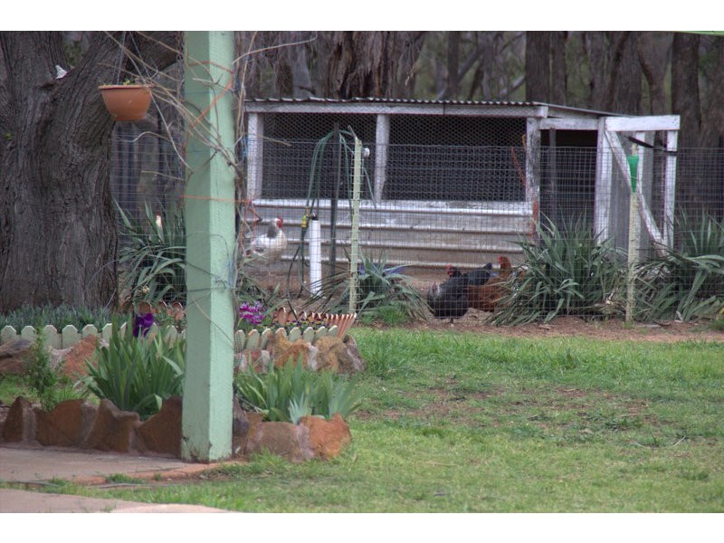 12 OXLEY HIGHWAY, Rocky Glen NSW 2357