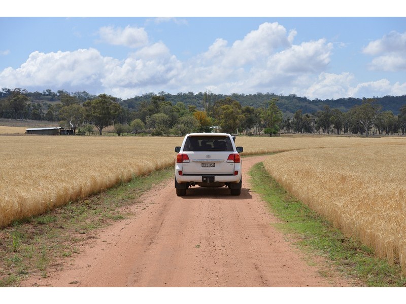 ” Barrington Park”, Quirindi NSW 2343
