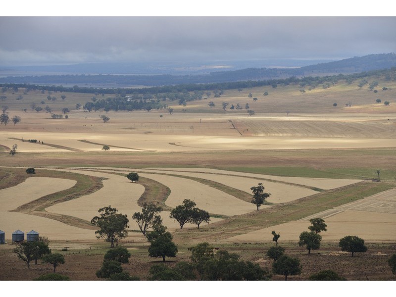 ” Barrington Park”, Quirindi NSW 2343