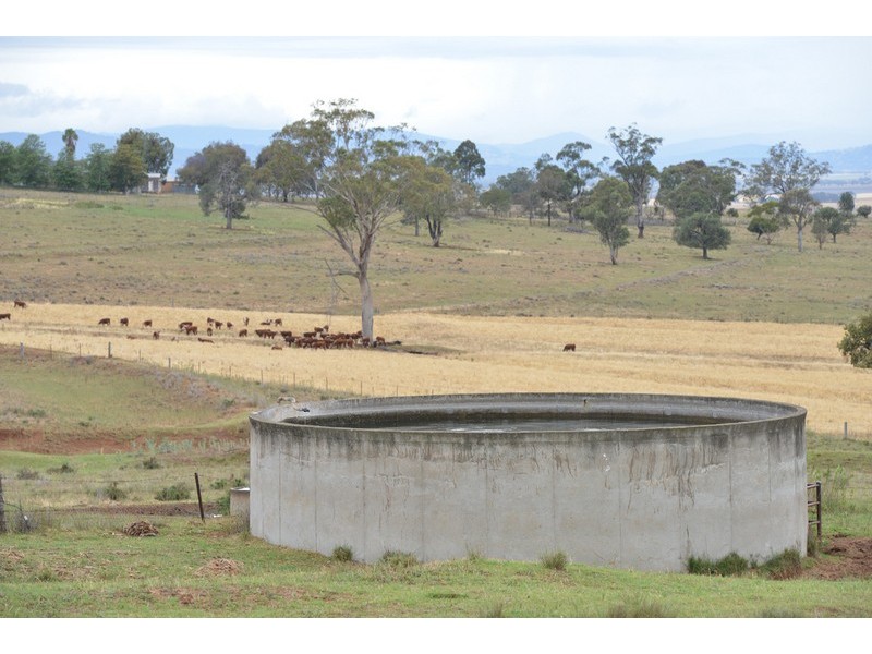 ” Barrington Park”, Quirindi NSW 2343