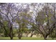 ” Barrington Park”, Quirindi NSW 2343