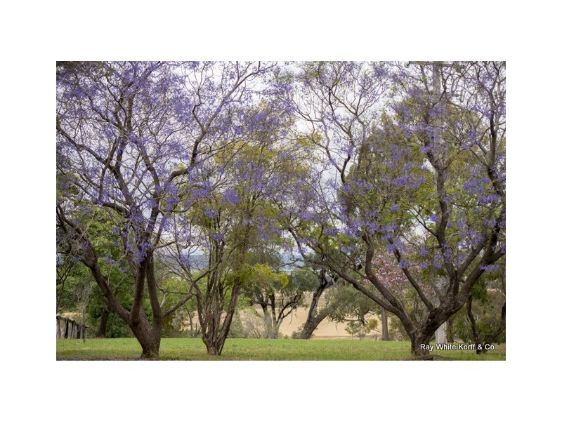 ” Barrington Park”, Quirindi NSW 2343