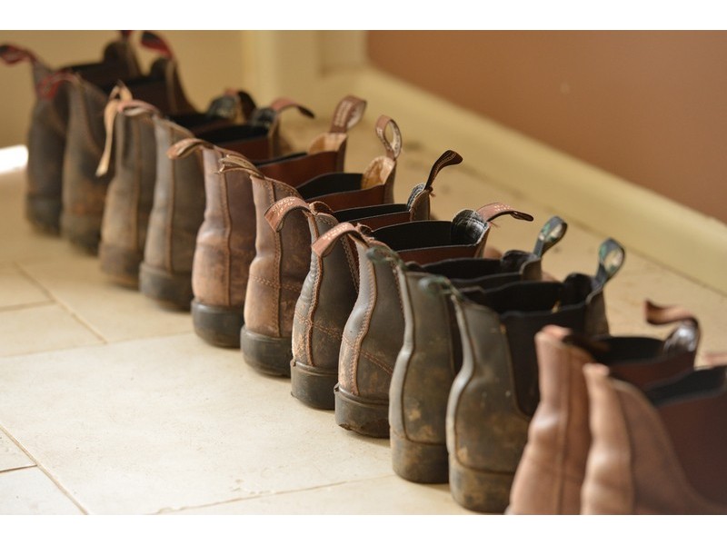 ” Barrington Park”, Quirindi NSW 2343