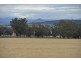 ” Barrington Park”, Quirindi NSW 2343