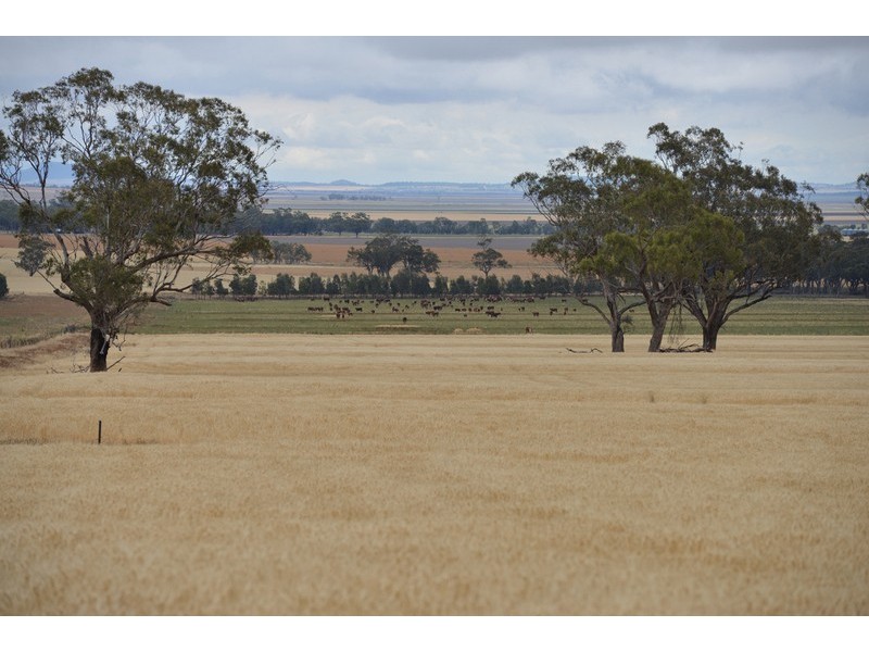 ” Barrington Park”, Quirindi NSW 2343