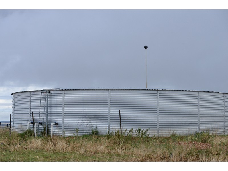 ” Barrington Park”, Quirindi NSW 2343