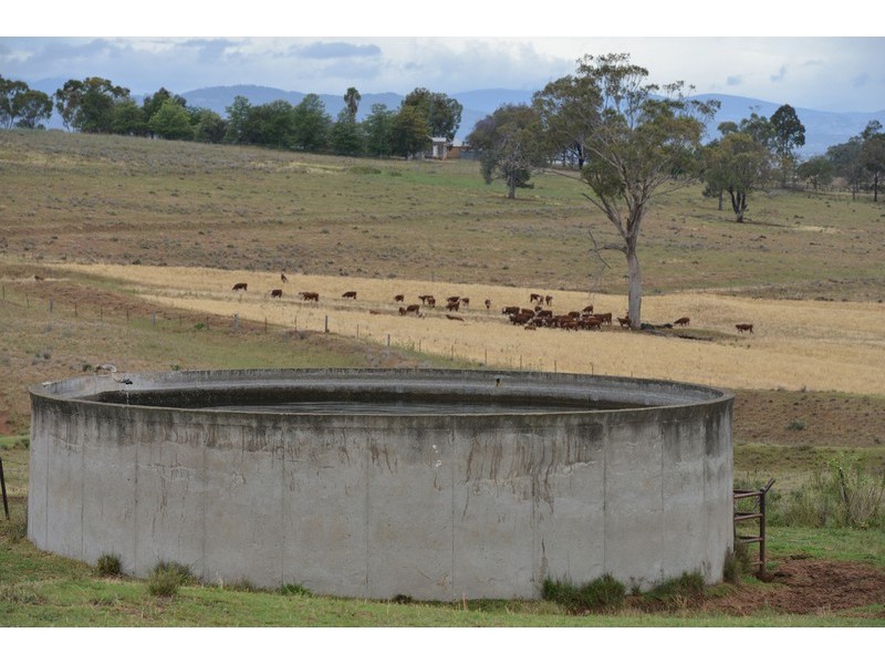 ” Barrington Park”, Quirindi NSW 2343