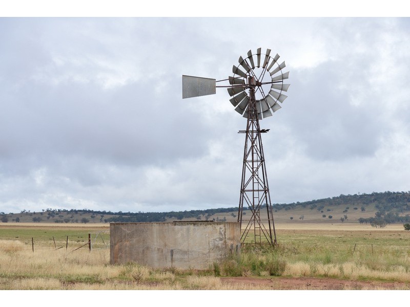 ” Barrington Park”, Quirindi NSW 2343