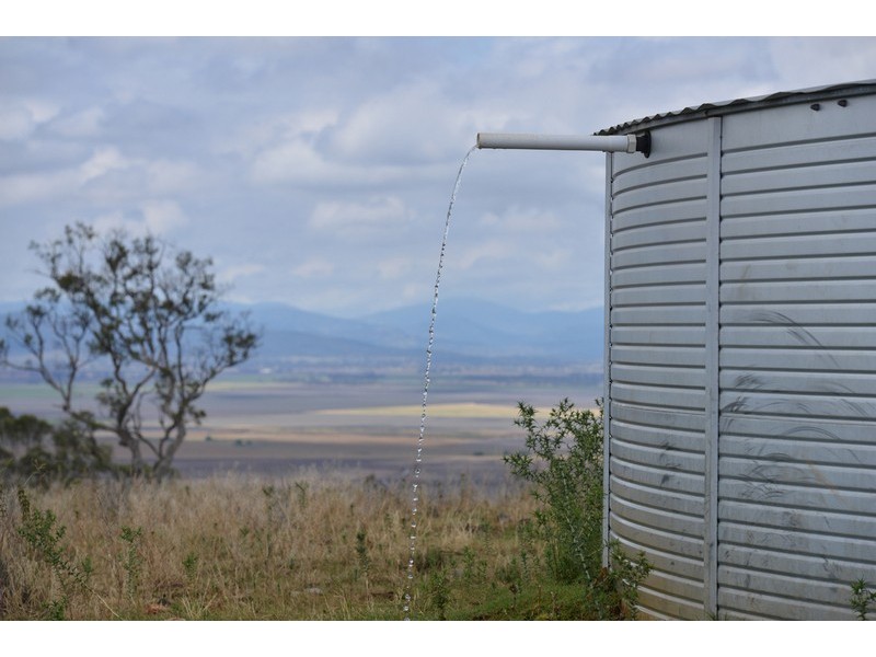 ” Barrington Park”, Quirindi NSW 2343