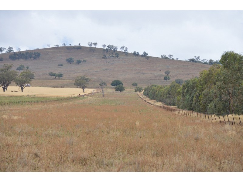 ” Barrington Park”, Quirindi NSW 2343