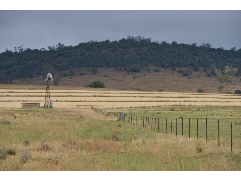 ” Barrington Park”, Quirindi NSW 2343